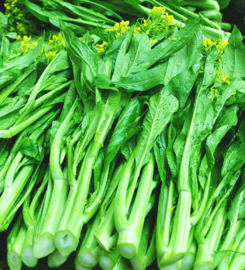 蔬菜