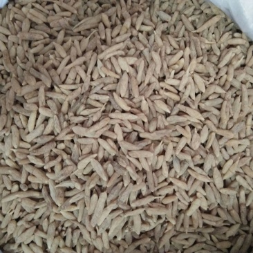 麦冬