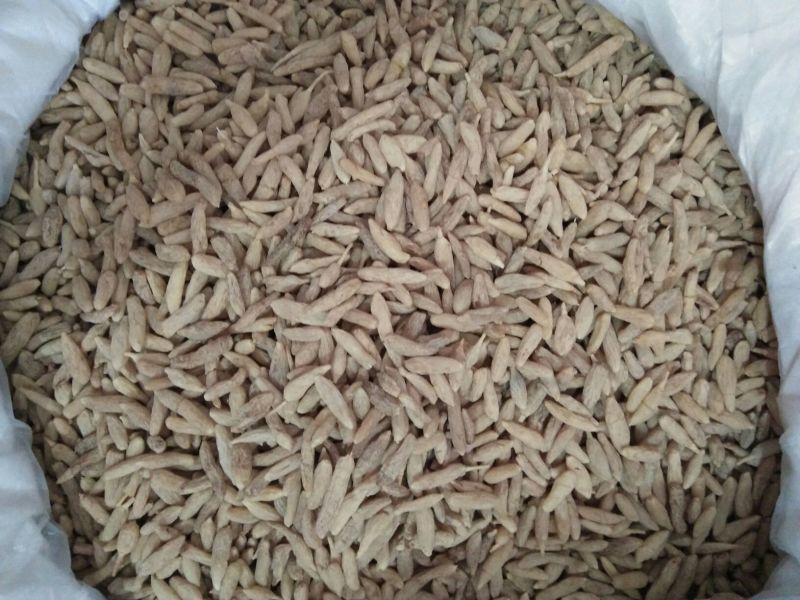 麦冬