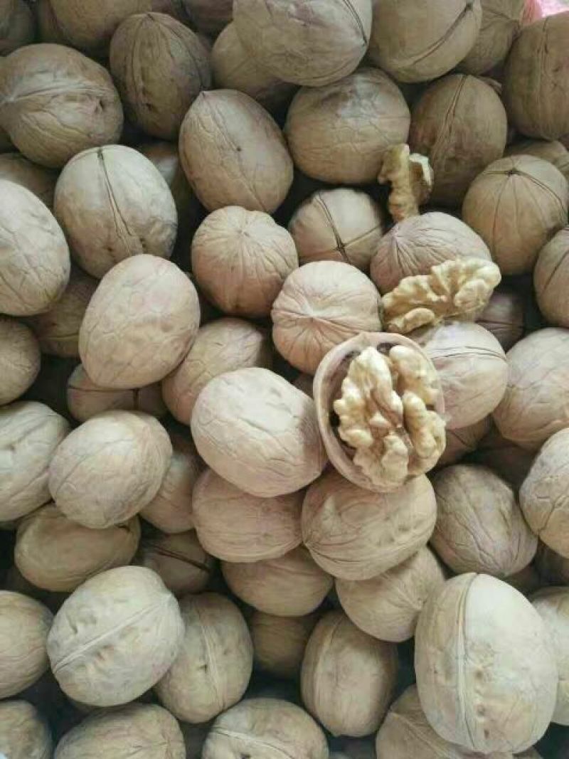 新新2号核桃去皮干