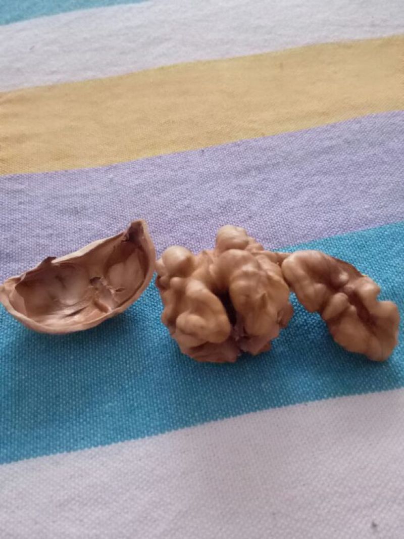 薄皮核桃去皮干