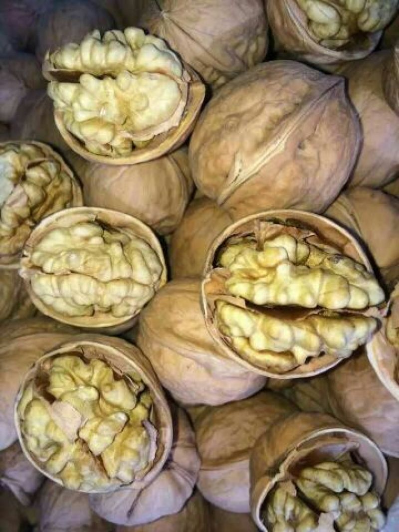 薄皮核桃去皮干
