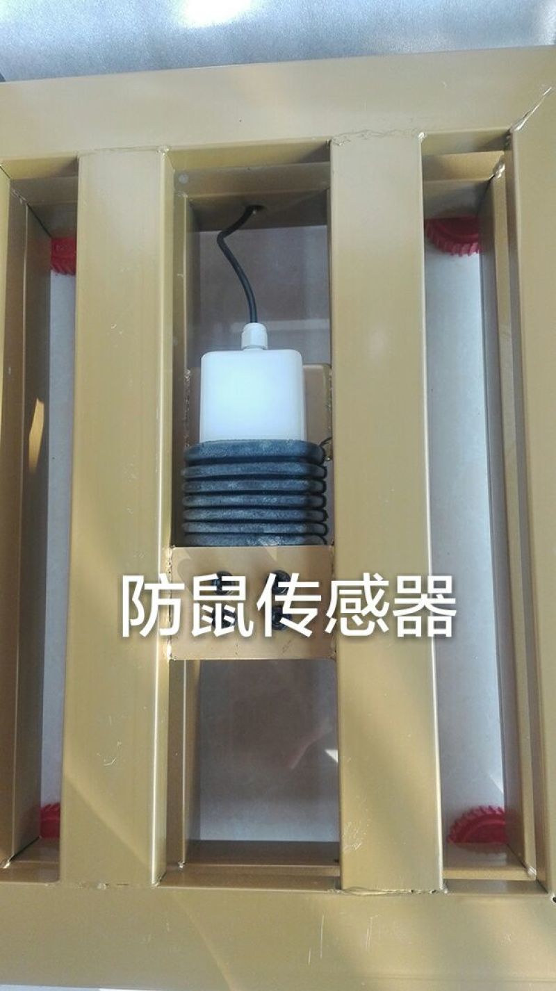 电子秤300kg