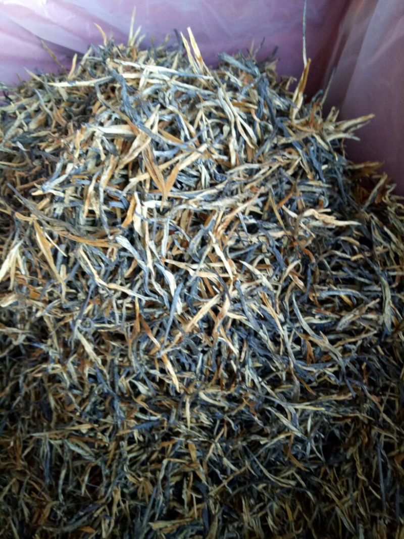 普洱绿茶