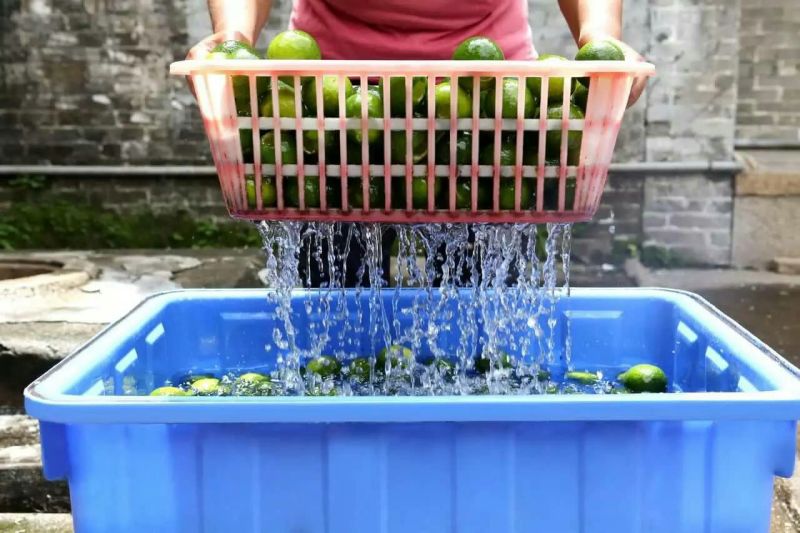 柑普茶特级