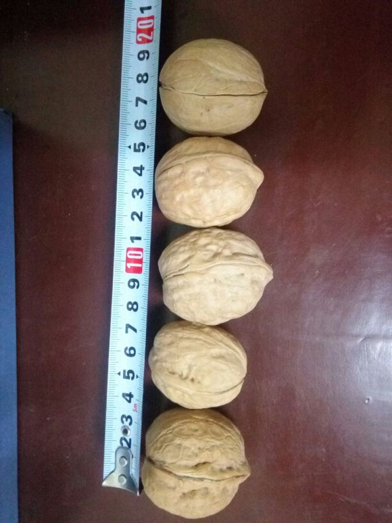 新疆核桃去皮干