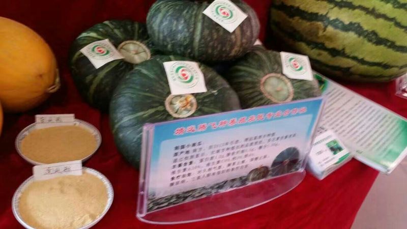 日本南瓜2~3斤以上扁圆形