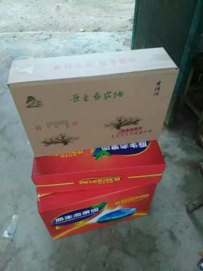 砀山梨350~400g纸箱