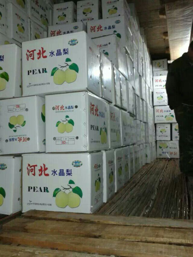 雪花梨