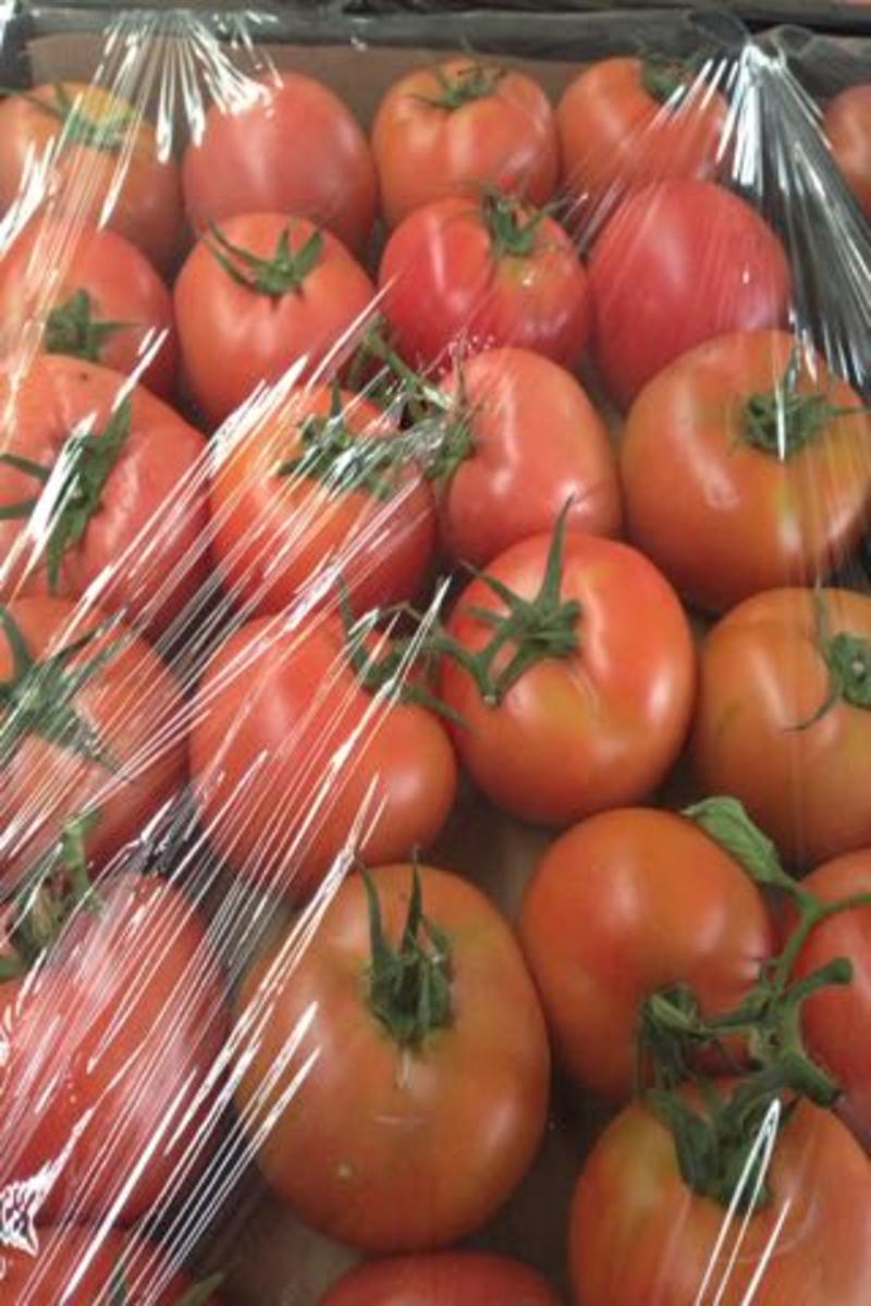 硬粉西红柿辽宁省锦州市暖棚硬粉西红柿（信誉好，质量有保障）