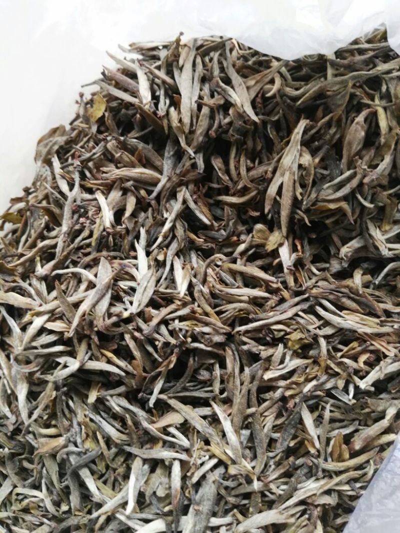 百年大树茶