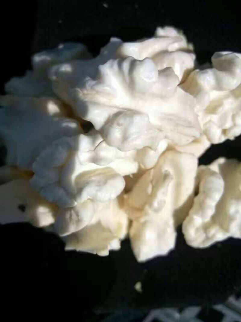 新疆青皮核桃，阿克苏青皮核桃，加工185纸皮核桃