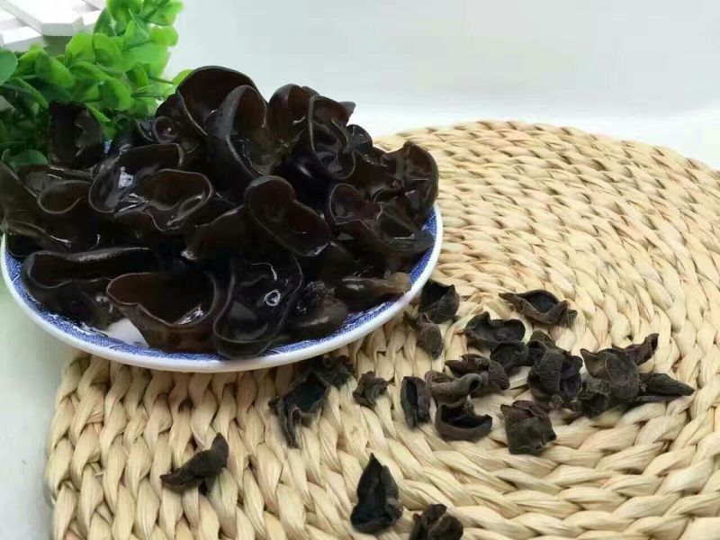 黑木耳特级