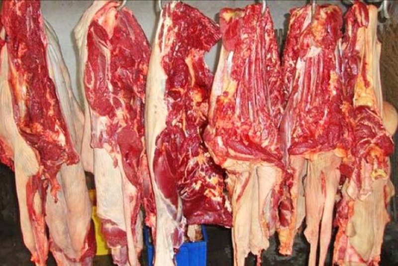 驴肉