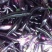 长茄子2两以上
