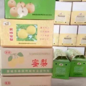 晚秋黄梨450~500g纸加膜