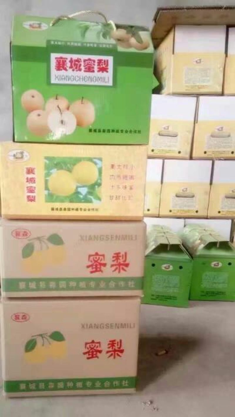 晚秋黄梨450~500g纸加膜