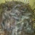 河虾活虾16~20只/kg