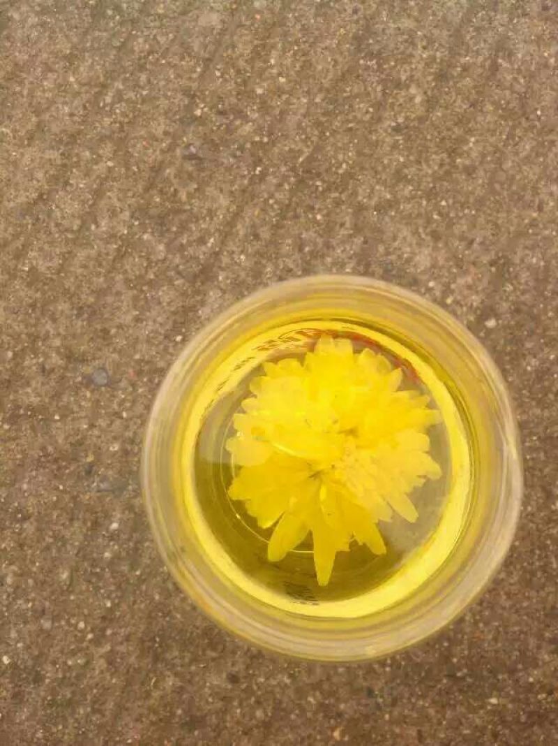 菊花茶