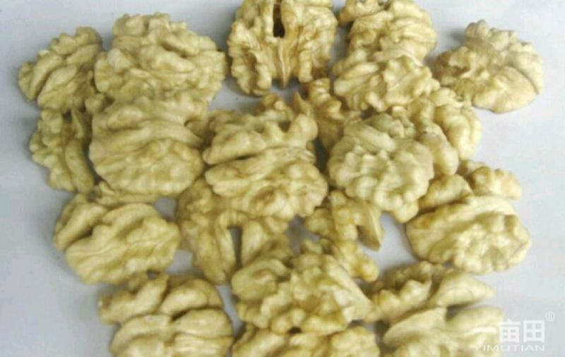 核桃仁原味