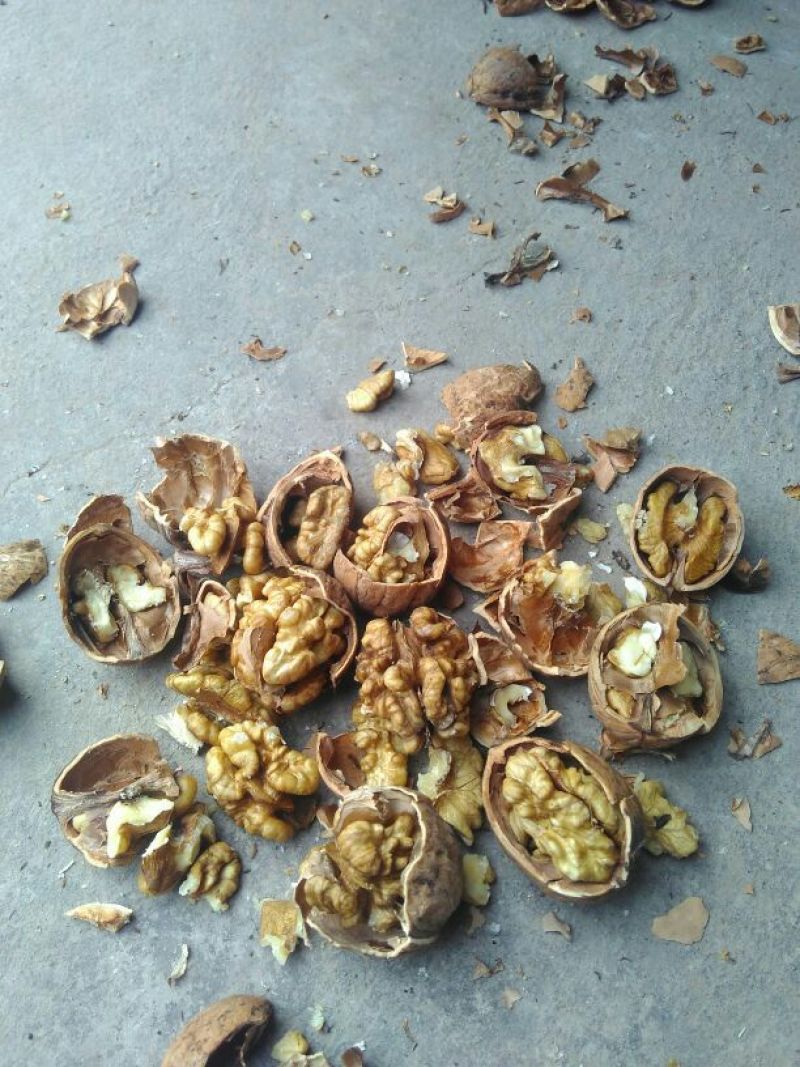 薄皮核桃30mm以上去皮干