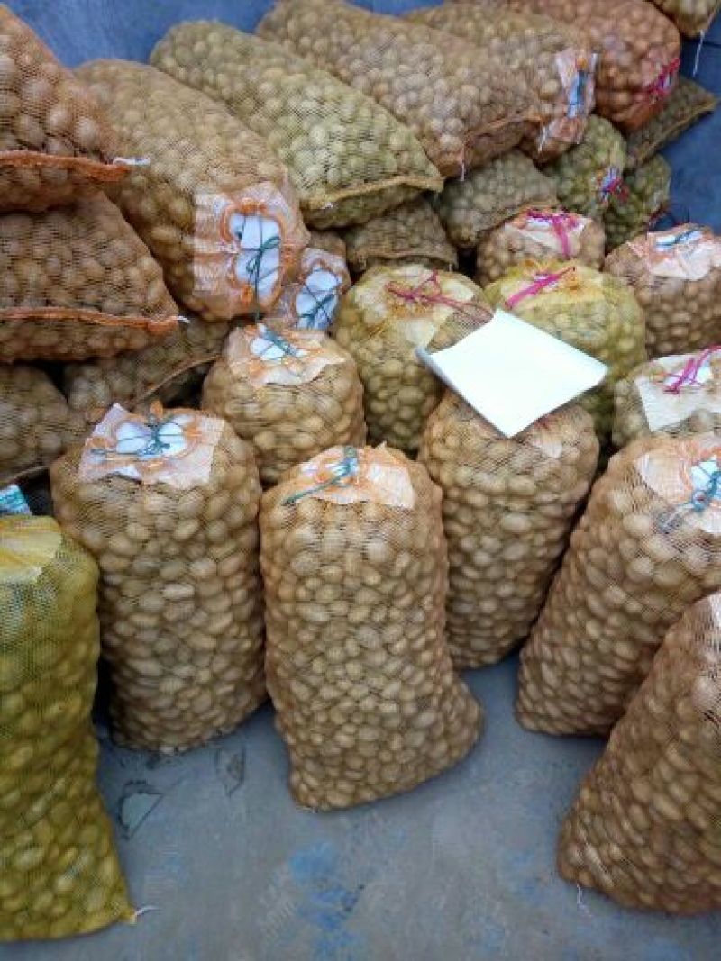 迷你土豆1两以下黄皮黄心油炸专用薯，规格大小可定制分选