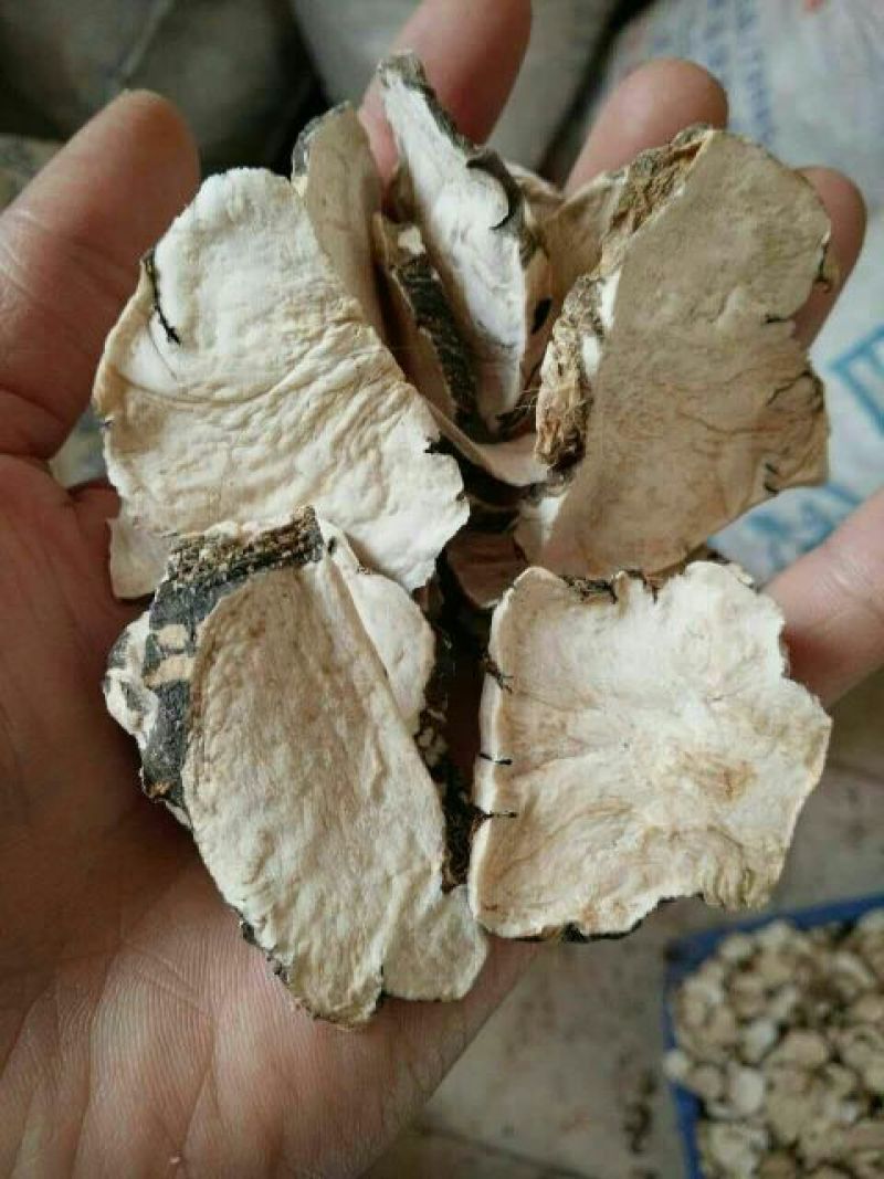 黑玛卡黑色