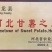 红薯粉丝