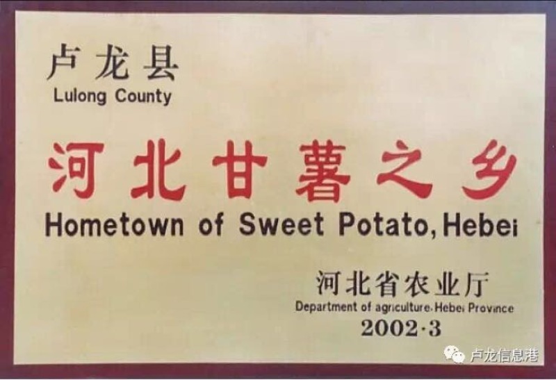 红薯粉丝