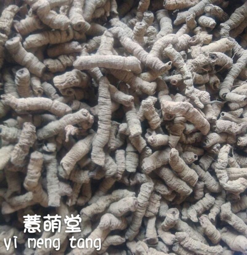 巴戟天特级