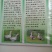 狮头鹅苗250g以下