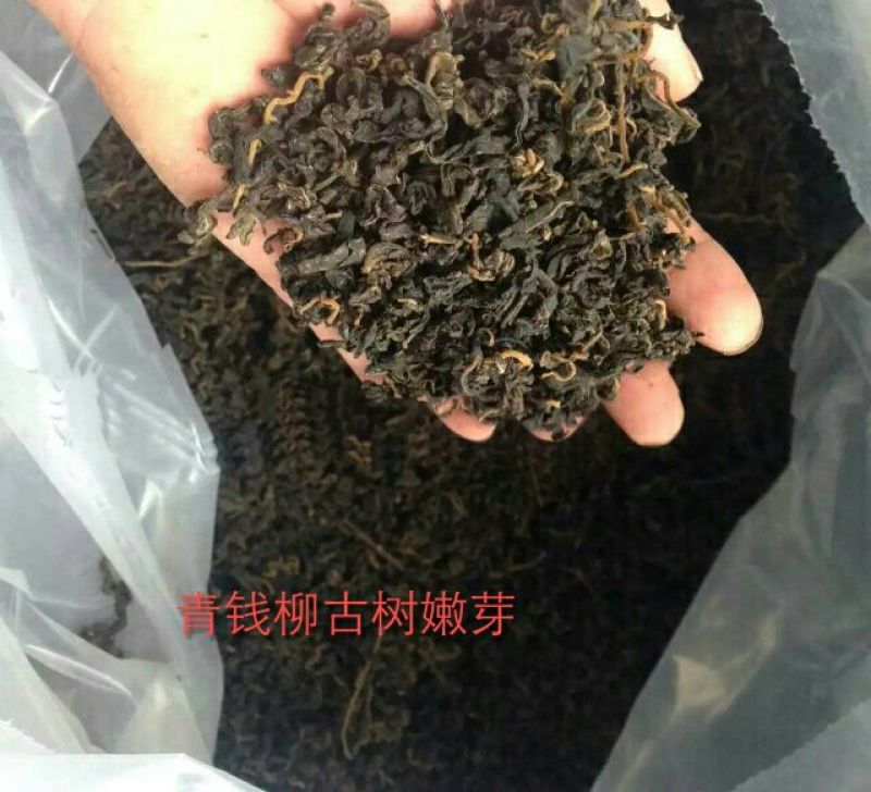 青钱柳茶特级