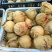 晚秋黄梨250~300g纸加膜