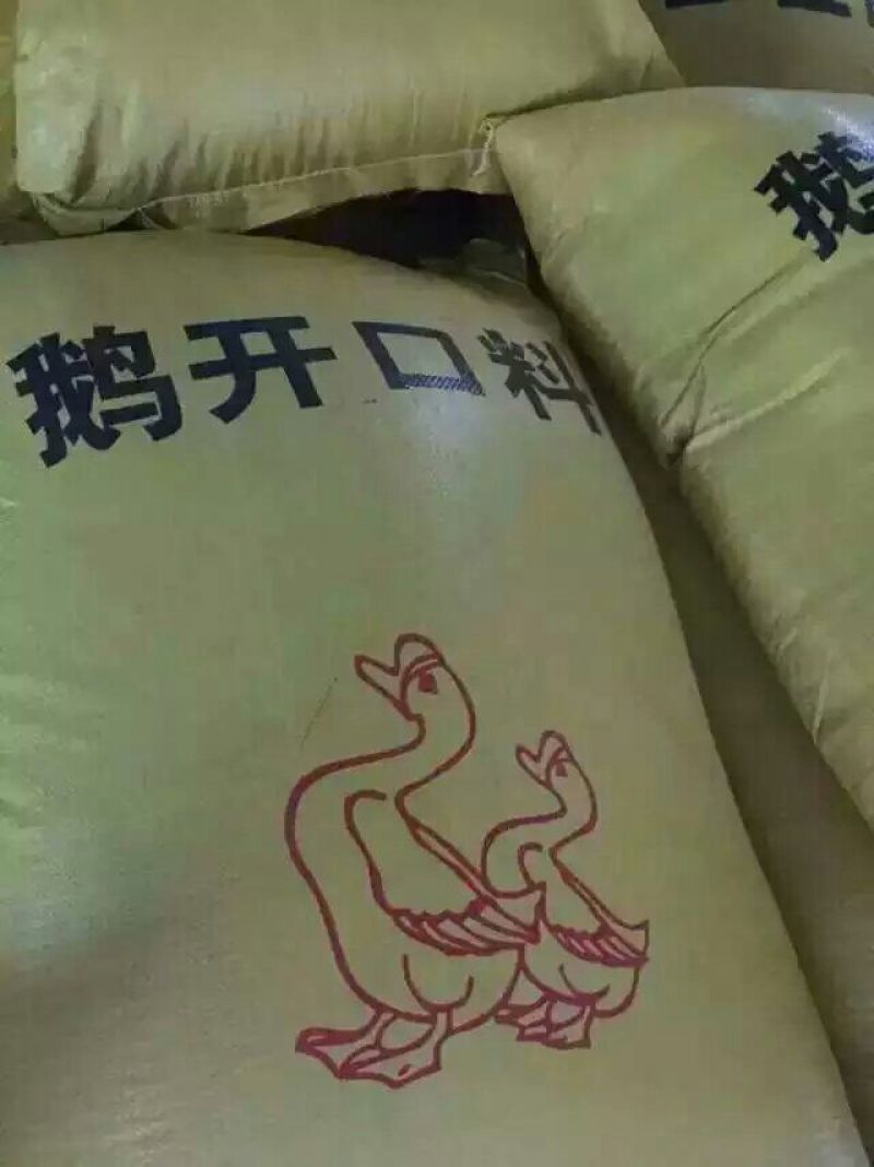 狮头鹅苗250g以上