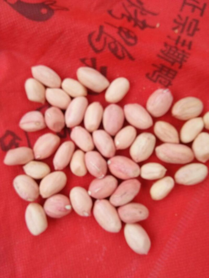 白沙系列