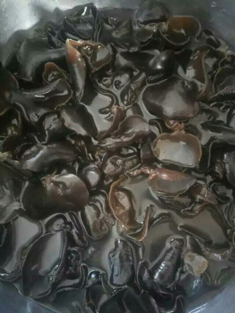 干木耳二级