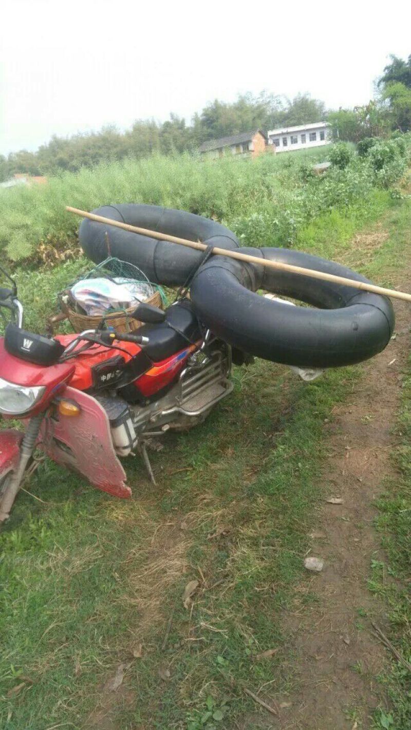 河鲤鱼食用1~2公斤
