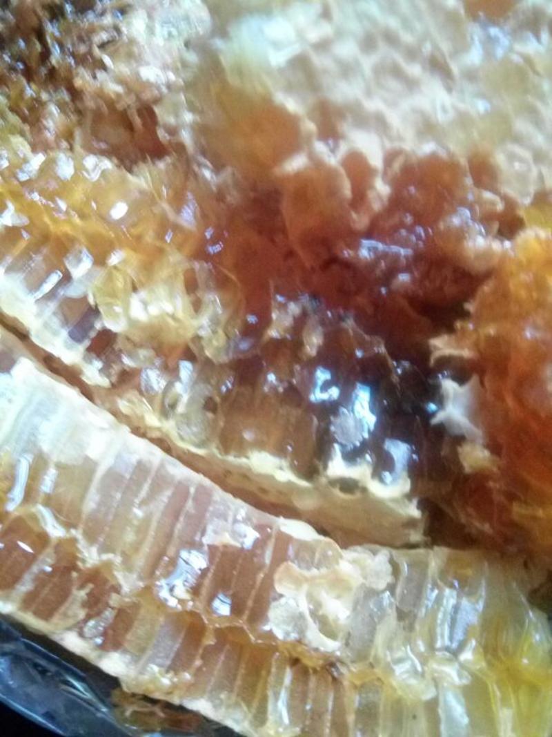 德宏陇川大山的蜂蜜，都是冬蜜。