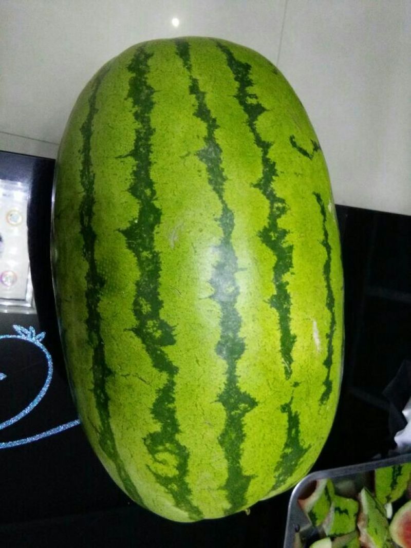 安农二号西瓜