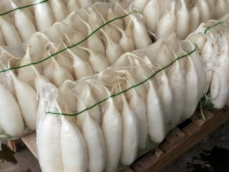 白萝卜