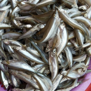 鱼干炸鱼干