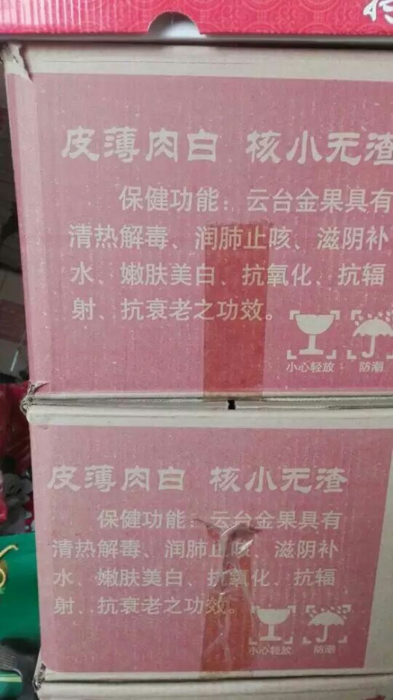 大黄梨