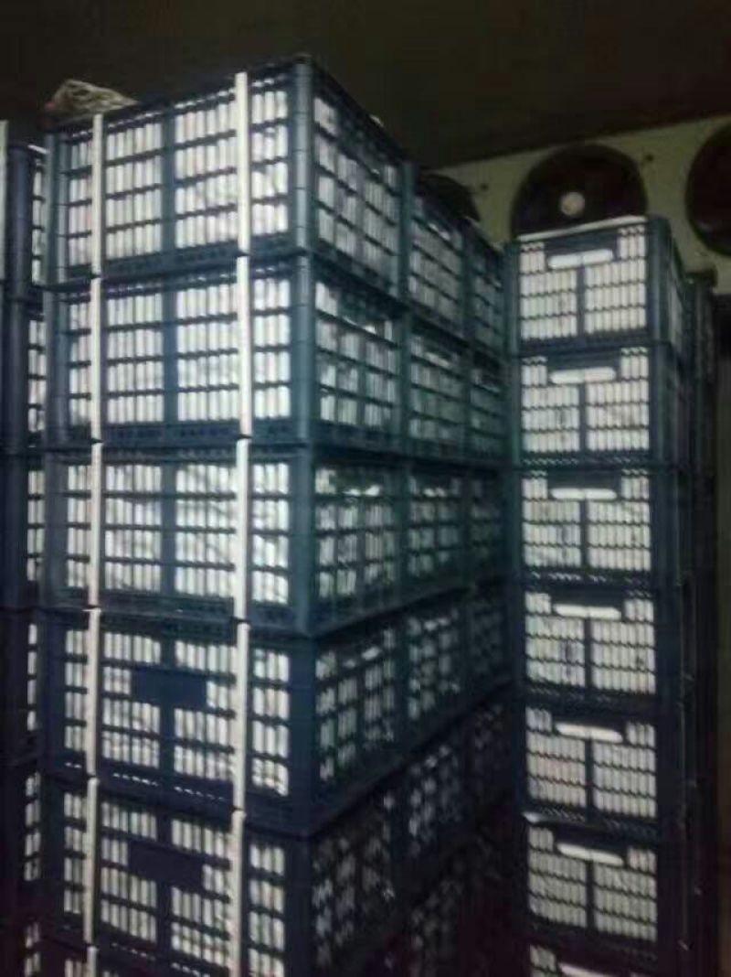 南果梨60~100g筐装
