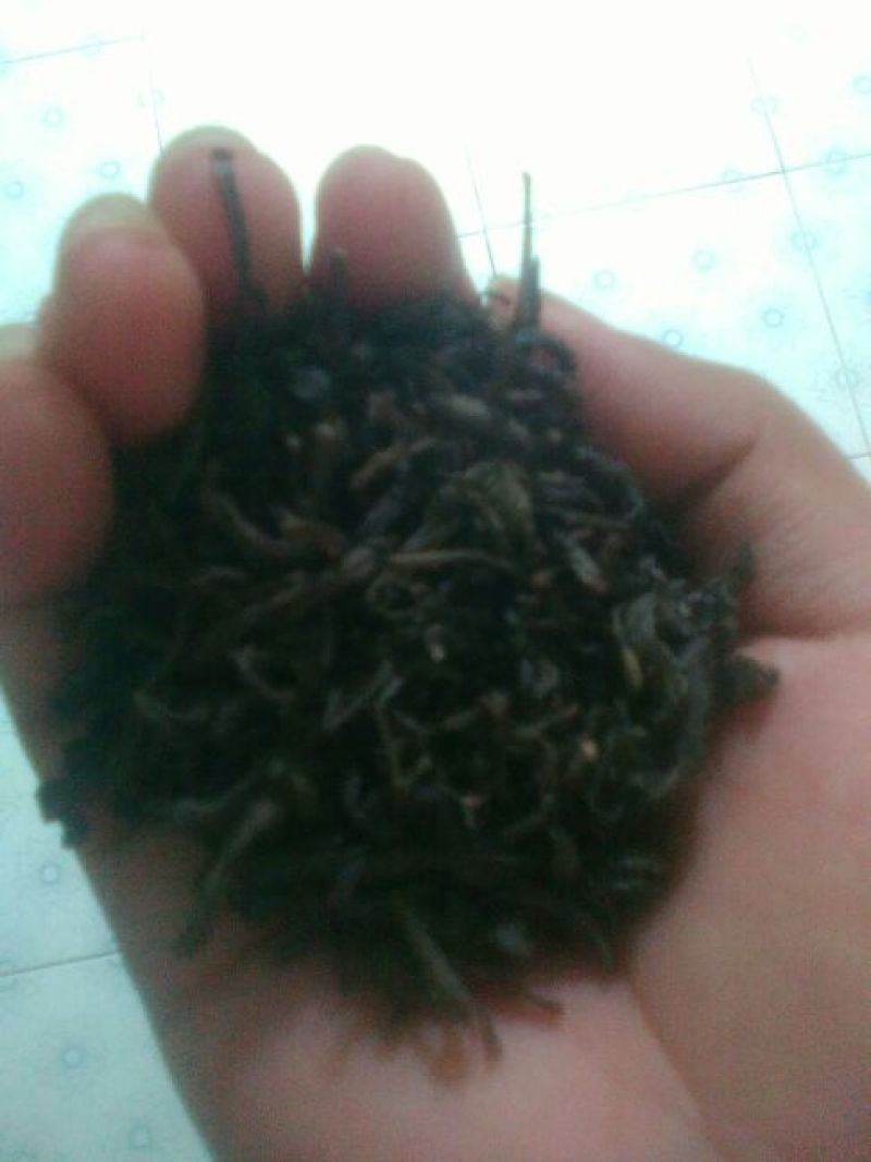 茶叶二级