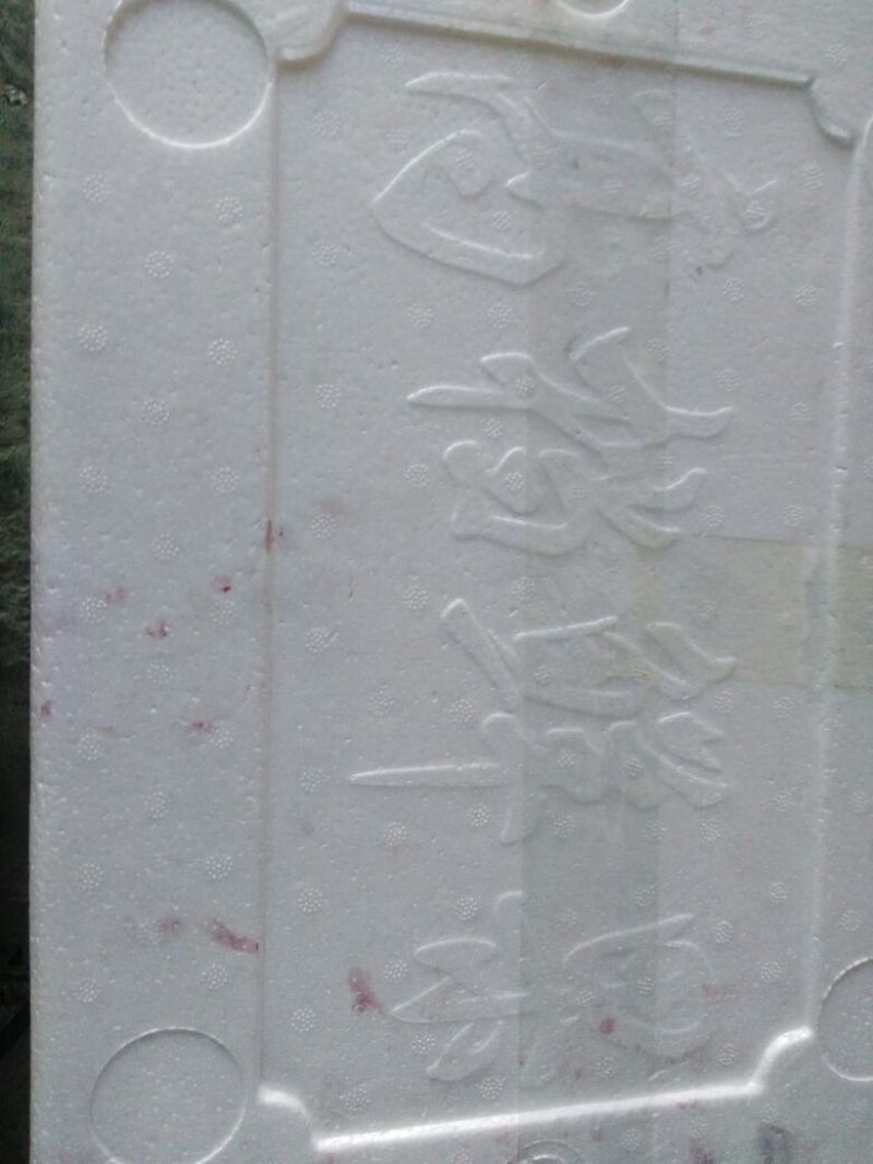 桑葚4~5cm
