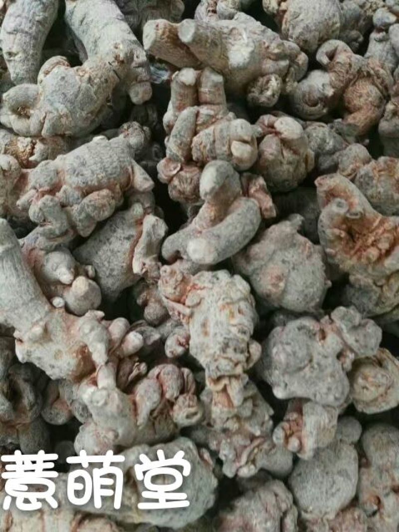 三七40头选货
