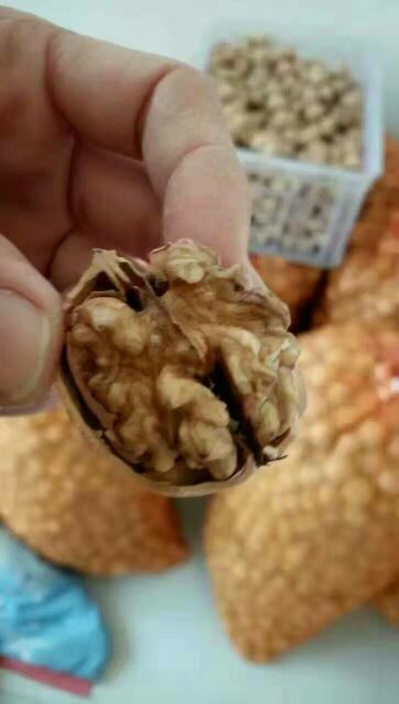 纸皮核桃30mm以上去皮干