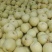 砀山梨350~400g光果