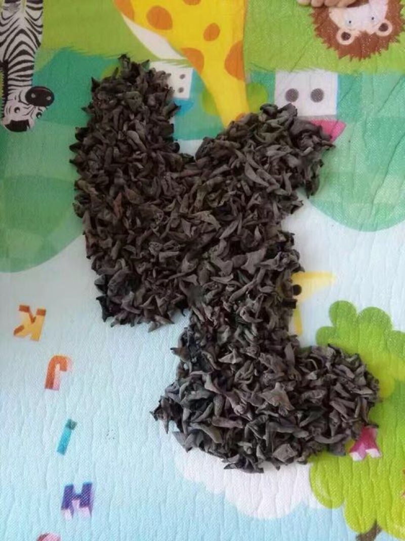 黑木耳