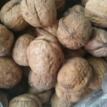 核桃去皮干